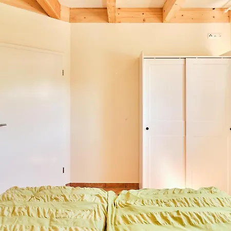 Waldlicht * Fuhlendorf (Mecklenburg-Vorpommern)